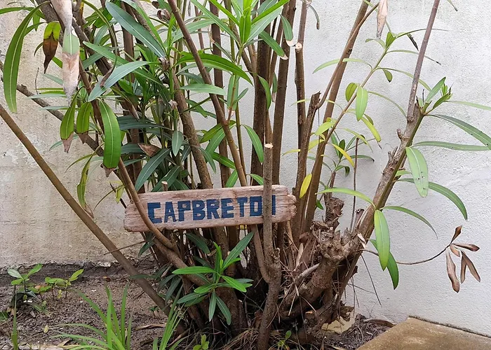 Feriehus Maison Familiale A Pour 6 Pers, Proche Avec Terrasse Et Parking - Fr-1-239-1047 *